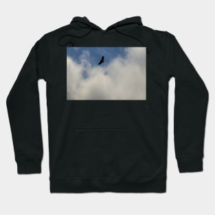 cli silhouette Hoodie